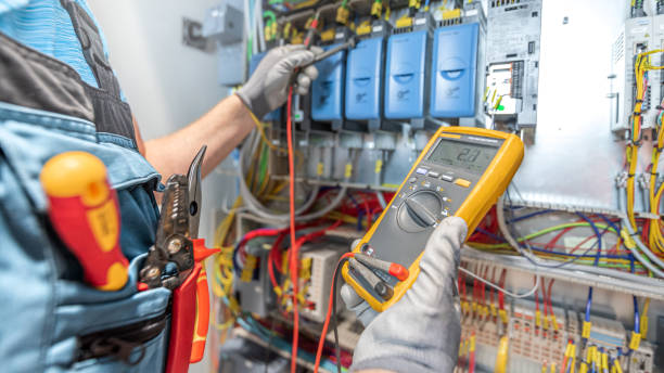 Best Electric Panel Repair  in Hays, MT